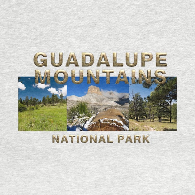 Guadalupe Mountains by teepossible